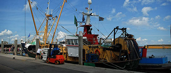 Vakantiewoning Limosa Wieringen - Haven Den Oever Vakantiewoning Limosa Wieringen - op de haven van Den Oever is altijd wel iets te zien