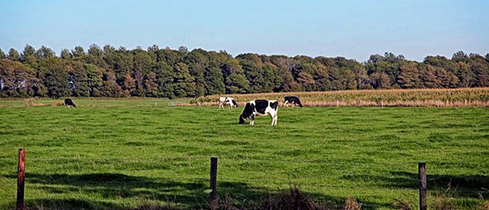 Limosa Wieringen - schitterende ligging Vakantiewoning Limosa Wieringen - schitterende gelegen tussen de eilanden