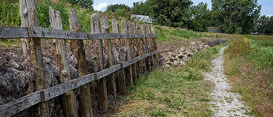 Vakantiewoning Limosa Wieringen - de oude wierdijk van Wieringen Vakantiewoning Limosa Wieringen - wandelen langs de oude wierdijk op Wieringen