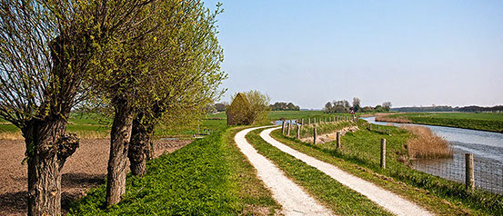 Vakantiewoning Limosa Wieringen - de oude wierdijk van Wieringen